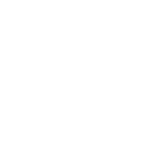 Brand Partner