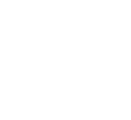 Brand Partner