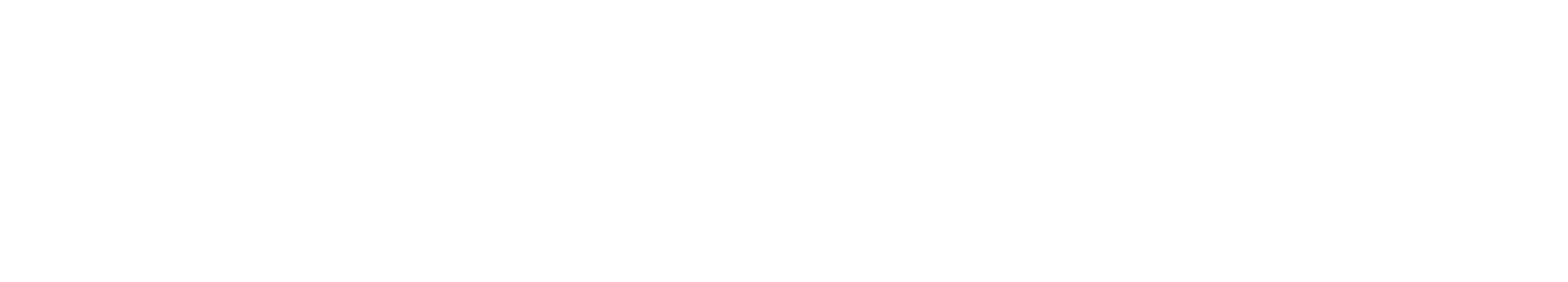 Brand Partner