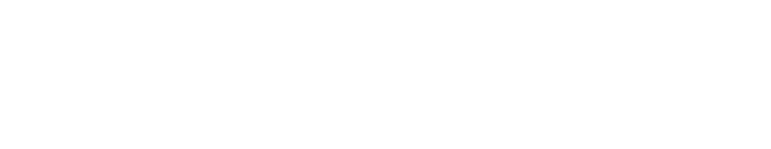 Brand Partner